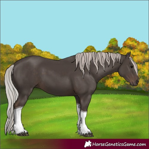 Horse Color:Silver Black Tobiano
