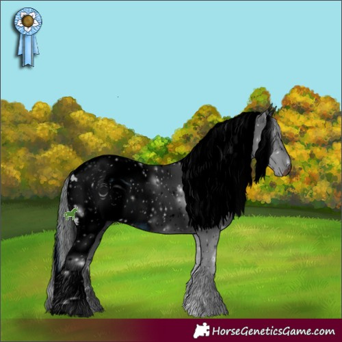 Horse Color:ERROR: UNKNOWN ANOMALY