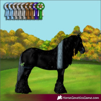 Horse Color:ERROR: UNKNOWN ANOMALY