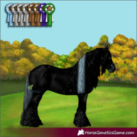 Horse Color:ERROR: UNKNOWN ANOMALY