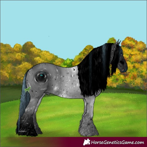 Horse Color:ERROR: UNKNOWN ANOMALY