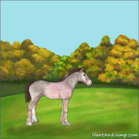 Horse Color:Chocolate Blue Onyx Ice Mushroom Sabino 