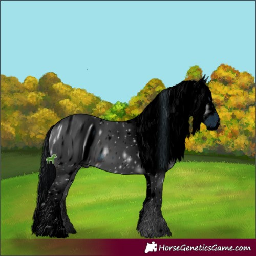 Horse Color:ERROR: UNKNOWN ANOMALY