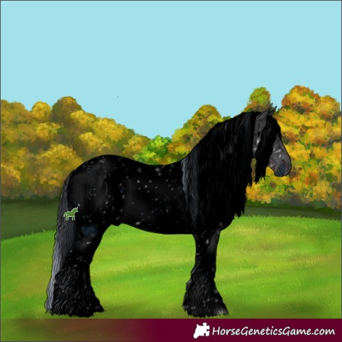 Horse Color:ERROR: UNKNOWN ANOMALY
