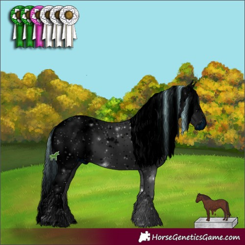 Horse Color:ERROR: UNKNOWN ANOMALY