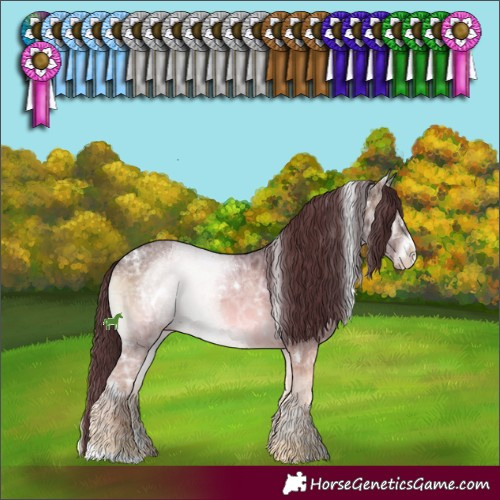 Horse Color:White Spotted Chocolate Brown Ice Onyx Sabino 