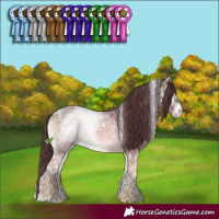 Horse Color:White Spotted Chocolate Brown Ice Onyx Sabino 