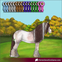 Horse Color:White Spotted Chocolate Brown Ice Onyx Sabino 