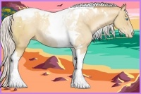 Horse Color:Silver Classic Champagne Pearl Tobiano Rabicano 