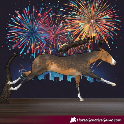 Horse Color:Buckskin 