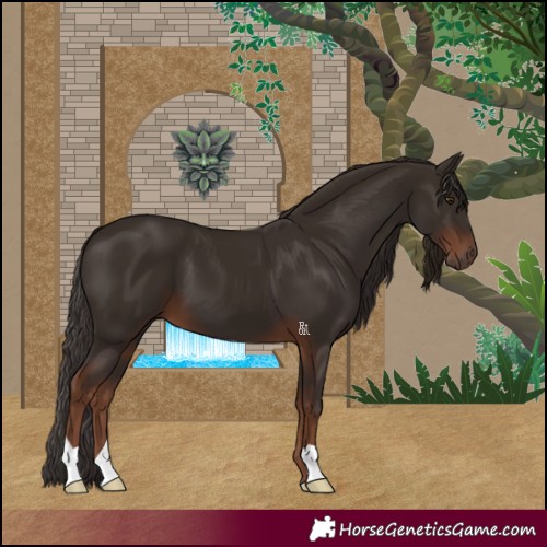 Horse Color:Liver Chestnut 