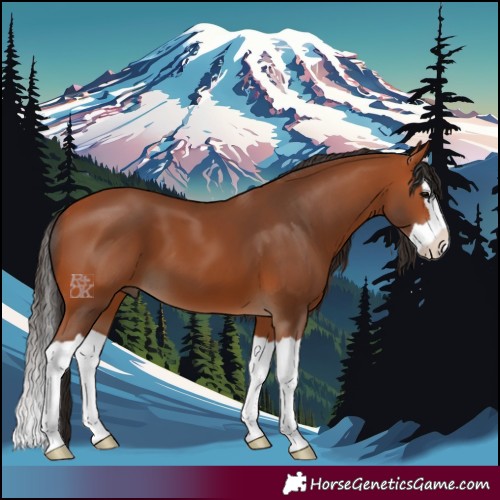 Horse Color:Bay Splash 
