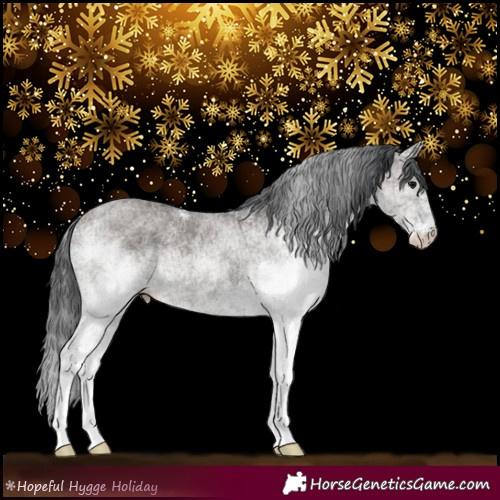 Horse Color:White Spotted Grullo 