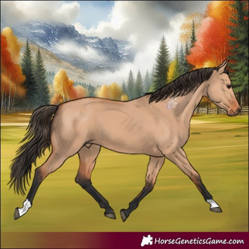 Horse Color:Bay Dun 
