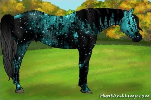Horse Color:ERROR: UNKNOWN ANOMALY and ERROR: UNKNOWN ANOMALY