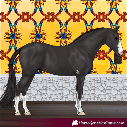 Horse Color:Smoky Black 
