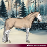 Horse Color:Bay Dun Splash