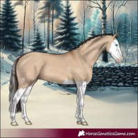 Horse Color:Bay Dun Splash 