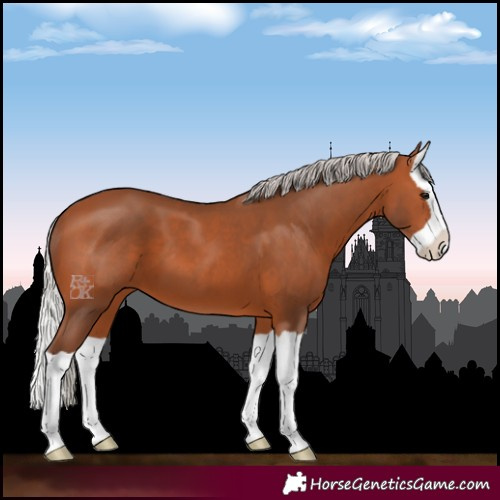 Horse Color:Silver Bay Splash 