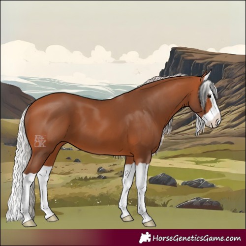 Horse Color:Silver Bay Splash 