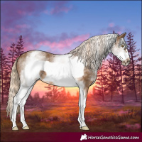 Horse Color:White Spotted Chocolate Palomino Frame 