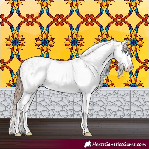 Horse Color:White Spotted Chestnut Splash 