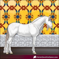 Horse Color:White Spotted Chestnut Splash 