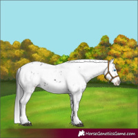 Horse Color:Black Frame 