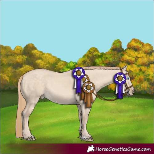 Horse Color:Perlino Dun