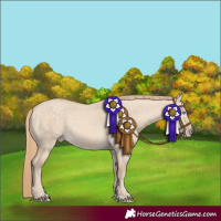 Horse Color:Perlino Dun