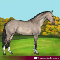 Horse Color:Brown Dun Tobiano Rabicano