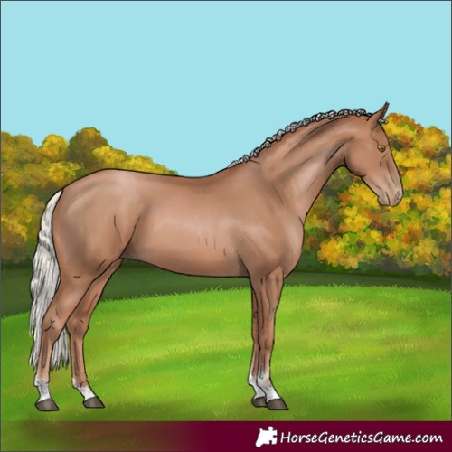 Horse Color:Silver Black Pearl Sabino Tobiano Rabicano