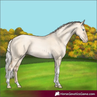 Horse Color:Silver Smoky Grullo Pearl Tobiano Rabicano 