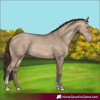 Horse Color:Sable Champagne Dun Tobiano Rabicano 