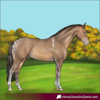 Horse Color:Sable Cream Champagne Tobiano Rabicano and Sable Champagne Tobiano Rabicano