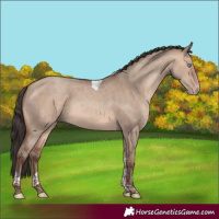 Horse Color:Sable Champagne Dun Tobiano Rabicano