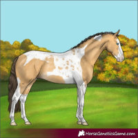 Horse Color:Amber Cream Champagne Splash Tobiano Rabicano 