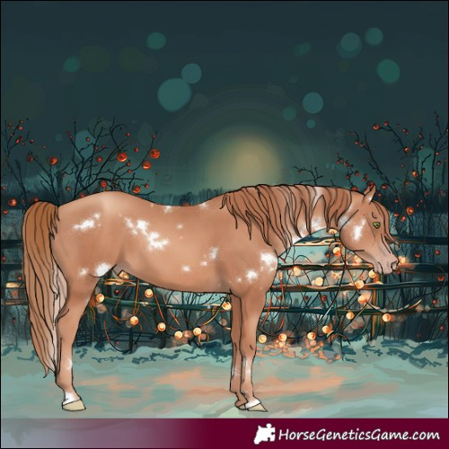 Horse Color:White Spotted Gold Champagne