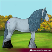 Horse Color:ERROR: UNKNOWN ANOMALY