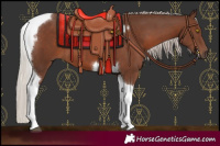 Horse Color:Silver Black Tobiano 