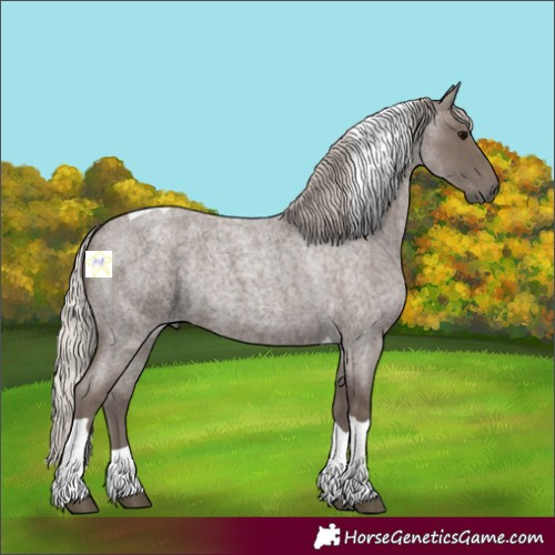 Horse Color:Silver Blue Roan Tobiano 
