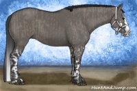 Horse Color:Grullo Sabino Splash  and Grullo Sabino Splash 