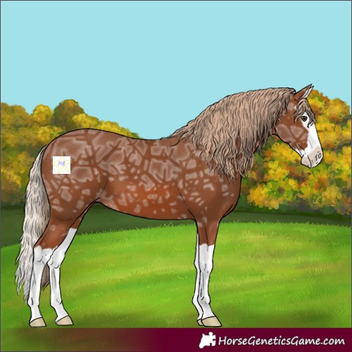Horse Color:Chestnut Ice Splash 