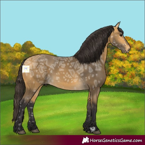 Horse Color:Buckskin Ice 