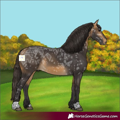 Horse Color:Buckskin Ice 
