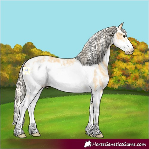 Horse Color:Palomino Ice Sabino Frame 