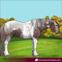 Horse Color:Chocolate Black Tobiano
