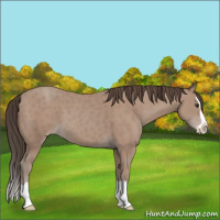 Horse Color:Classic Champagne Splash 