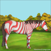 Horse Color:Classic Champagne Splash 