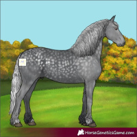 Horse Color:Silver Black Chinchilla 